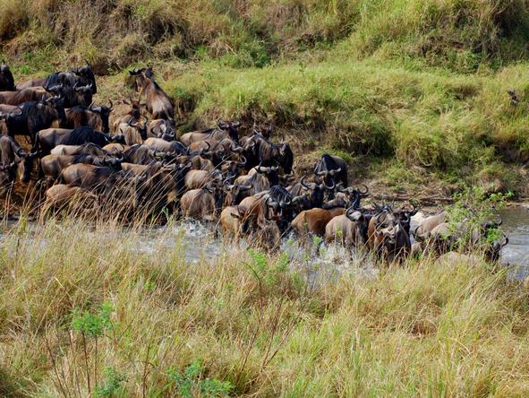 East African Adventure