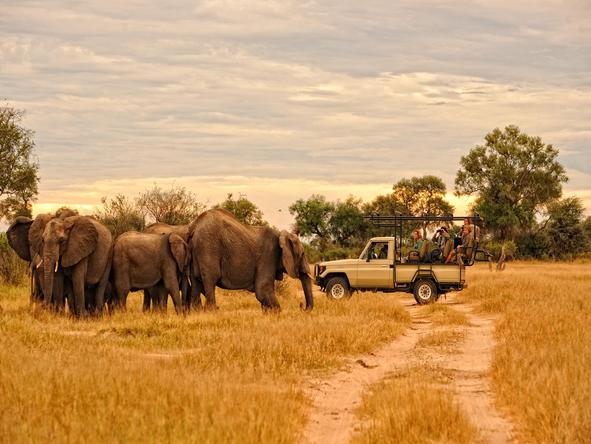 Zambezi River Odyssey