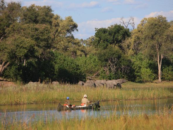 Selinda Canoe Trail Exploration