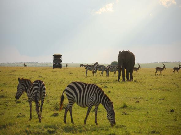 Decadent Kenya & Seychelles Delight 