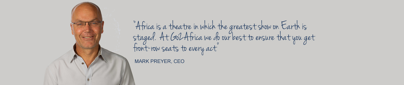 About Us - Mark Preyer CEO