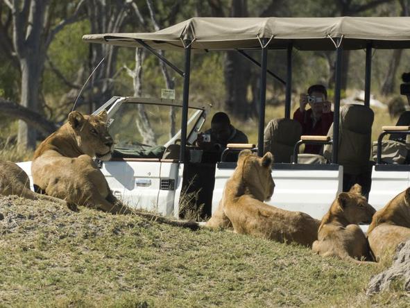 Best of Botswana Fly-in Safari