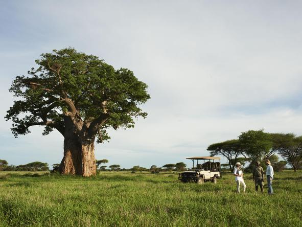 Magical Singita & Mozambique Journey