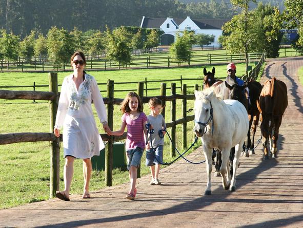 Best Family South African Coastal Adventure
