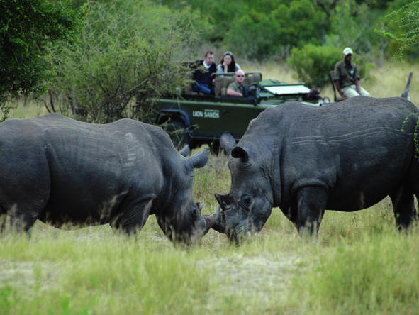 Cape Town & Vic Falls Explorer