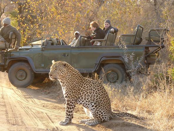 Cape Town, Winelands & Kruger Safari Journey