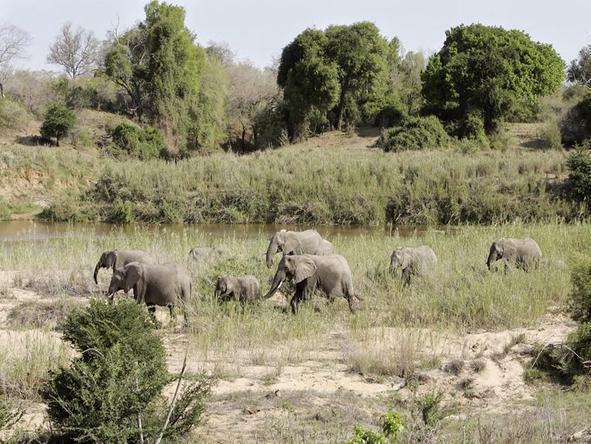 Kruger & Panorama Route Supreme Self-Drive