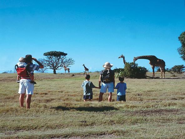 Magnificent Cape & Safari Family Holiday