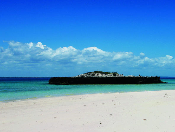 South Africa Wildlife & Bazaruto Island Explorer