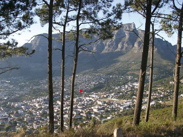 Cape Town & Winelands: The Artist's Way