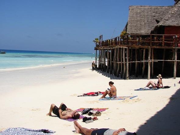 Gorilla, Game Parks & Zanzibar