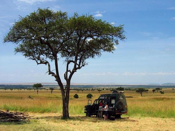 Tanzania Parks & Zanzibar Adventure