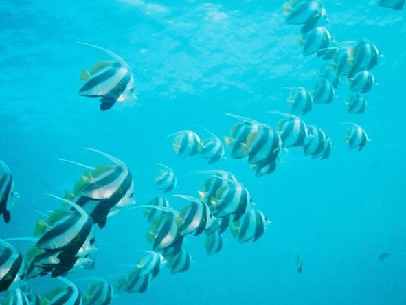 Discover Mozambique