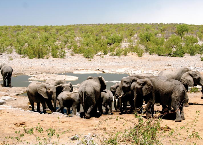 Cape to Vic Falls