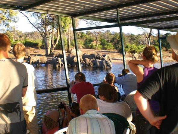 Delta & Chobe