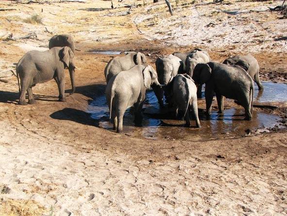 Zimbabwe Rediscovered