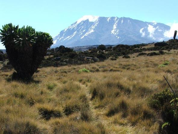 Memorable Kilimanjaro Marangu Climb