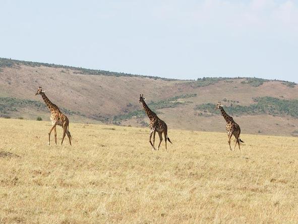 Explore Kenya Camping Adventure