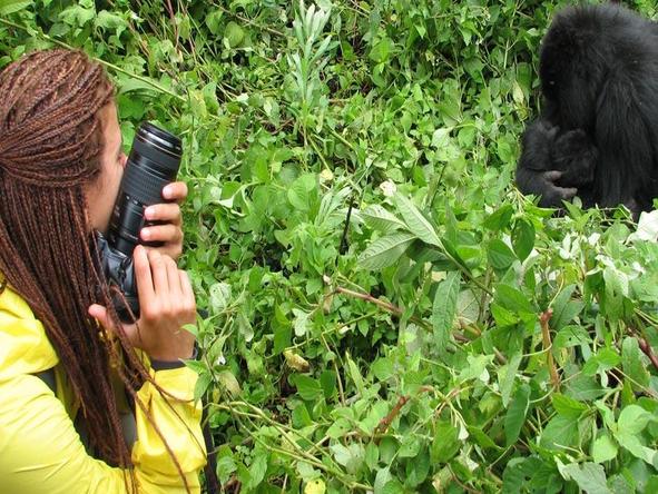 Amazing Apes Safari