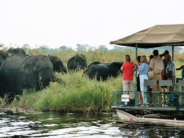 Great Botswana Wilderness Journey