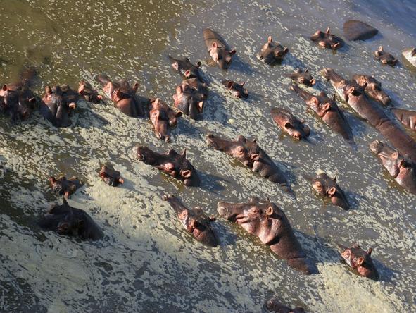 Southern Tanzania Safari Adventure