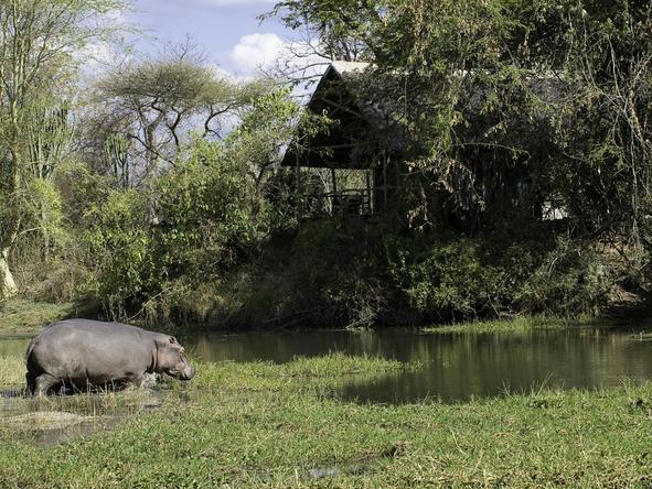 Superior Malawi Safari