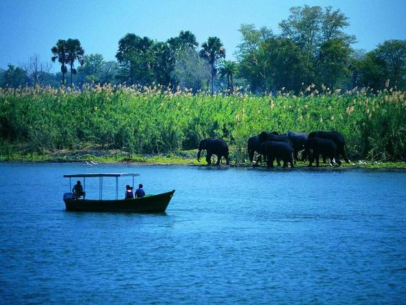 Superior Malawi Safari