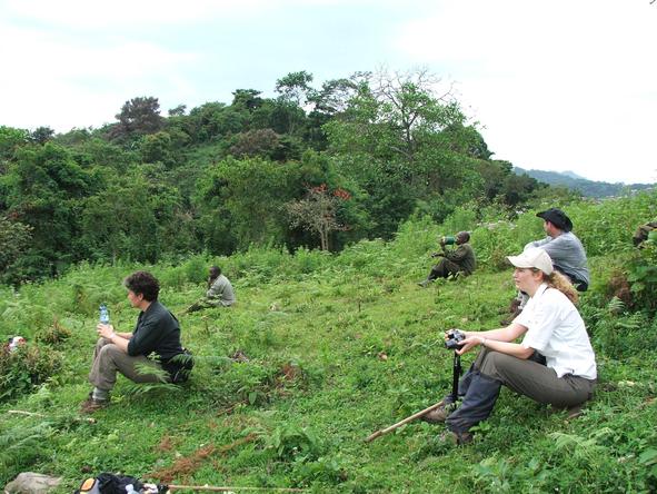 Fly-In Gorilla Safari