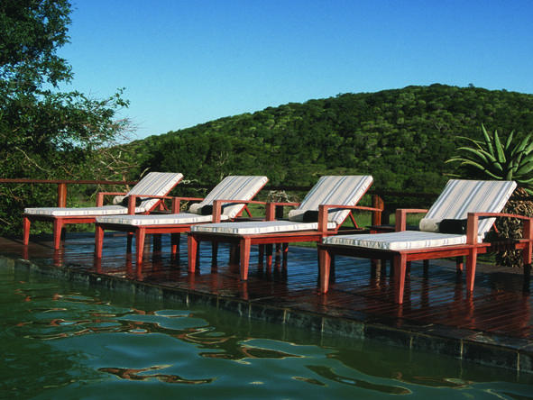 Phinda Zuka Lodge - Pool 