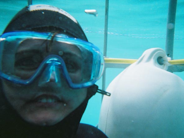 Sharlene Swart - shark cage diving in Gansbaai, Cape Town