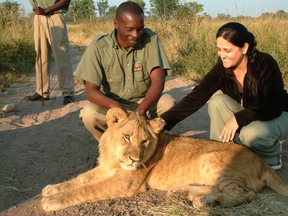 Sharlene Swart - petting a young lion at Victoria Falls