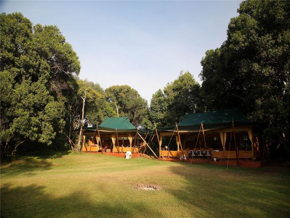 Elephant Pepper Camp- Camp 
