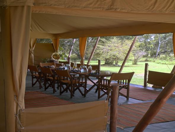 Elephant Pepper Camp- lounge 