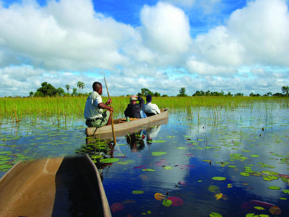 Set out and explore the waterways and islands of the Delta in a traditional mokoro canoe.