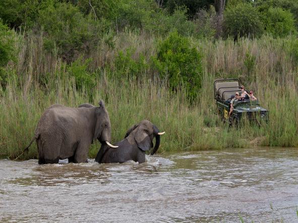 The Sabi Sands adjacent to the Kruger Park offers superb Big 5 gameviewing.