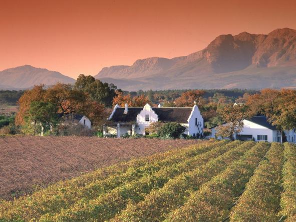 The Cape Winelands - just an easy 40 minute drive from Cape Town - are filled with award-winning wine estates.
