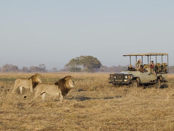 Kafue National Park in northern Zambia is a wild and remote reserve, but the gameviewing is quite superb.