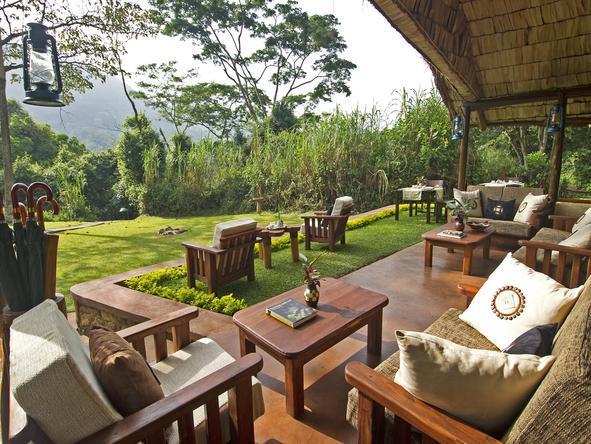 Gorilla Forest Camp - Lounge 