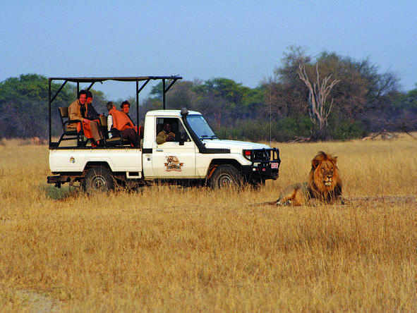 The Hide - experience Big 5 game viewing