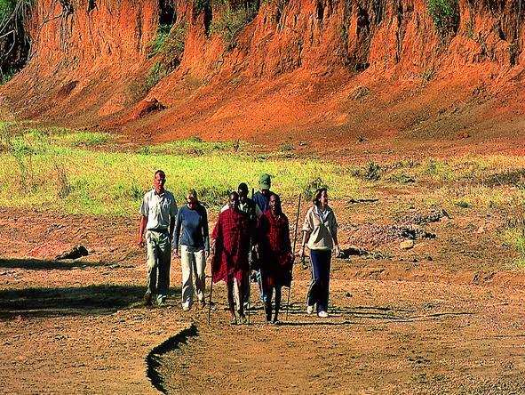 Amboseli Porini Camp - walking safari