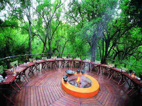 Jaci's Tree Lodge - Boma 