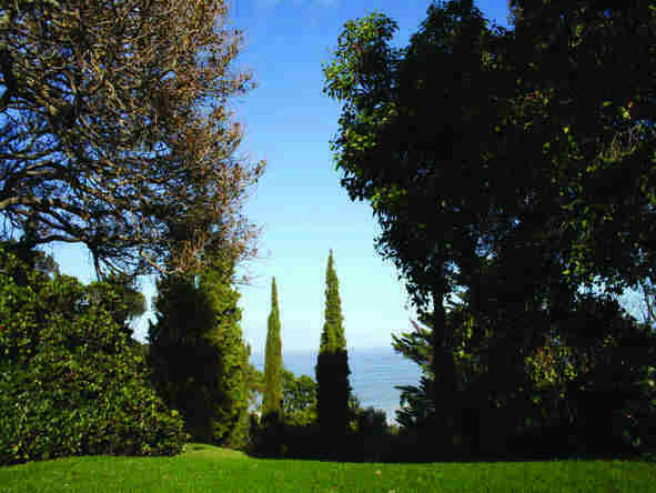 Camps Bay Retreat - Garden 