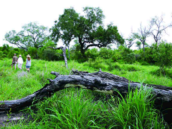 South Africa, Vic Falls & Chobe Adventure Holiday
