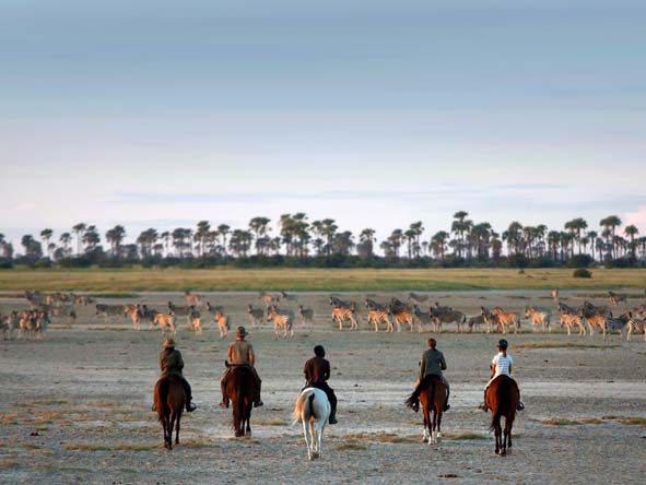 Camp Kalahari Migration2