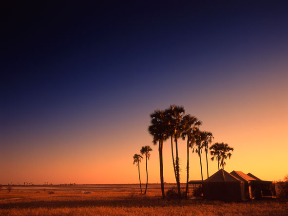 Botswana Jacks Camp