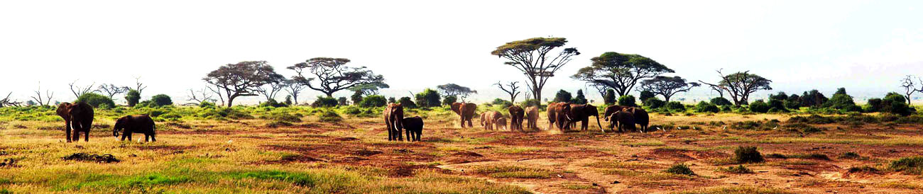 Discover Kenya Wilderness