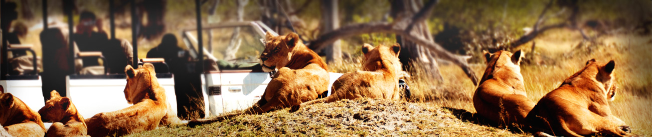 Best Africa Vacations