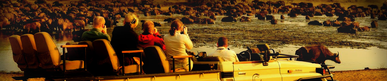 Best Family African Vacations