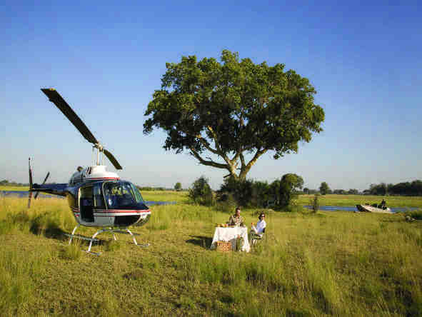 Eagle Island Camp - fly in safari