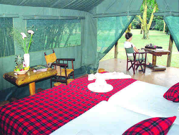 Siana Springs Tented Camp - Tent 